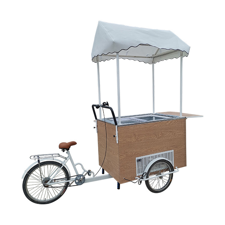 Green on the Go Bici di bevande fatte a mano per un business sostenibile del carrello alimentare